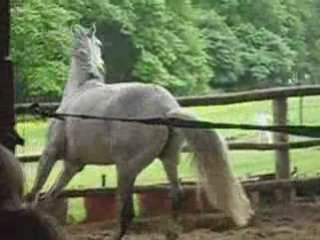 karma qui se défoule