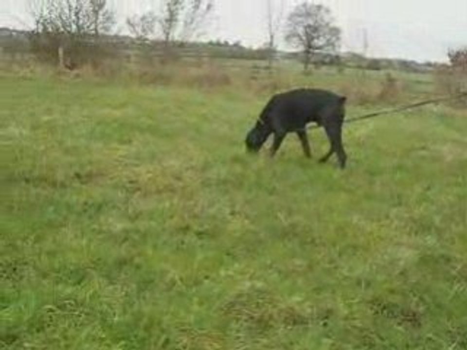Diablo piste 2