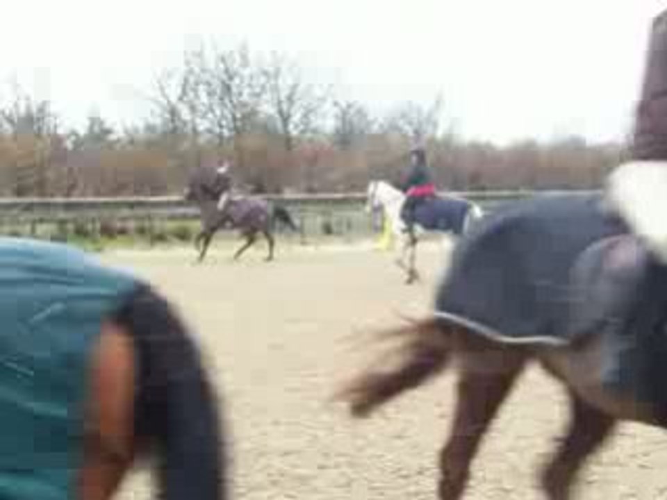 Daphné et kalua galop