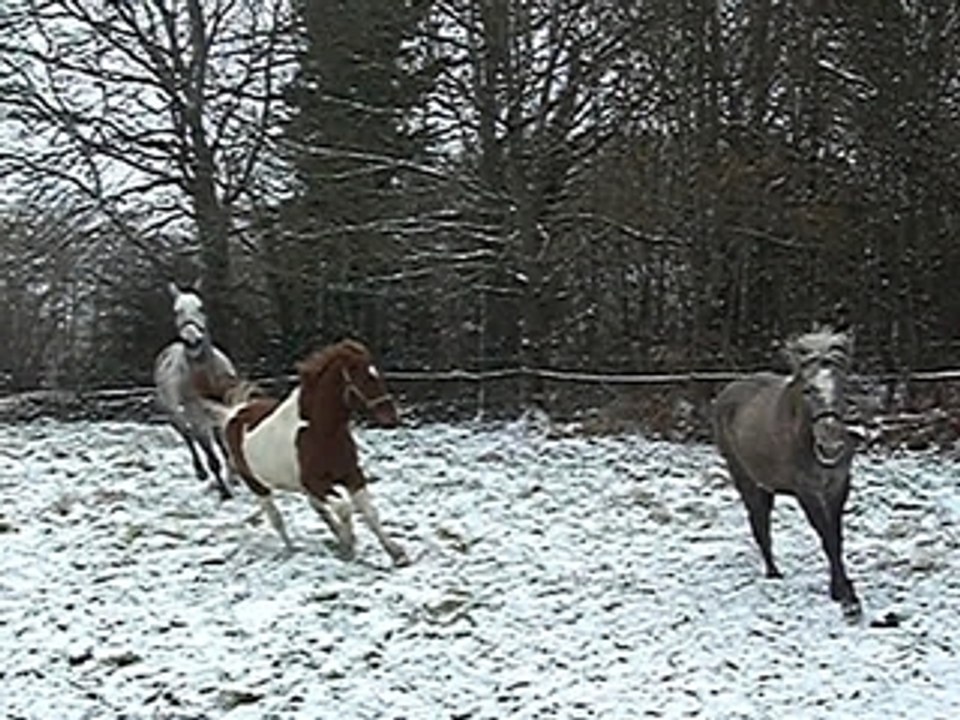 mes loulous2
