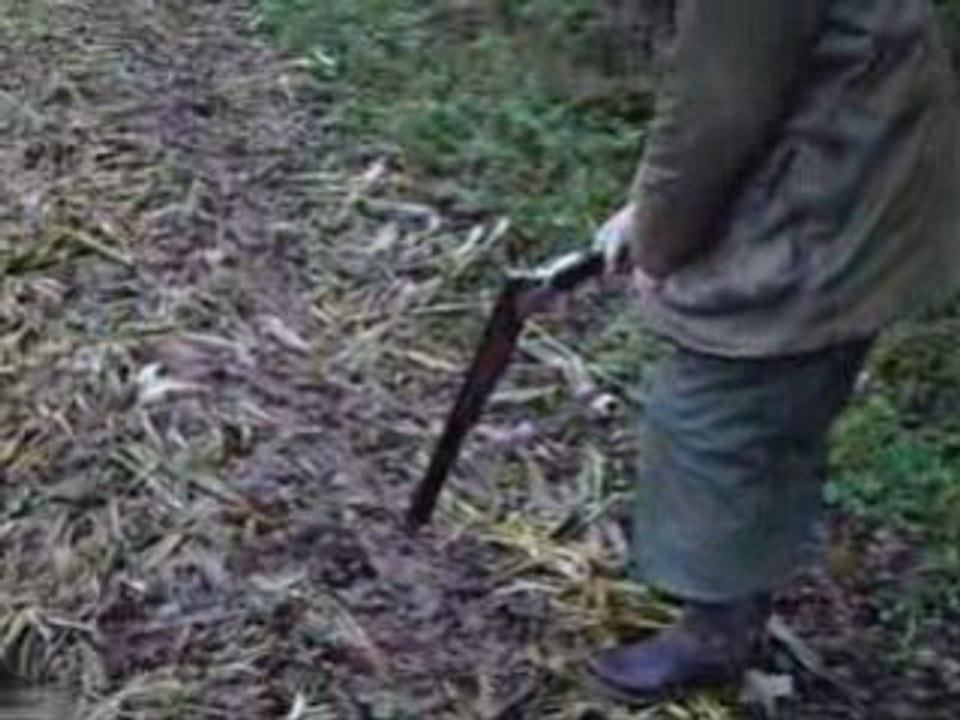 Chasse atelier101.net