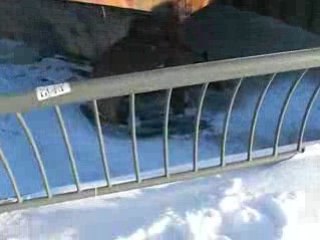 Promenade dans le vieux port  JUSTE POUR RIRE!!!