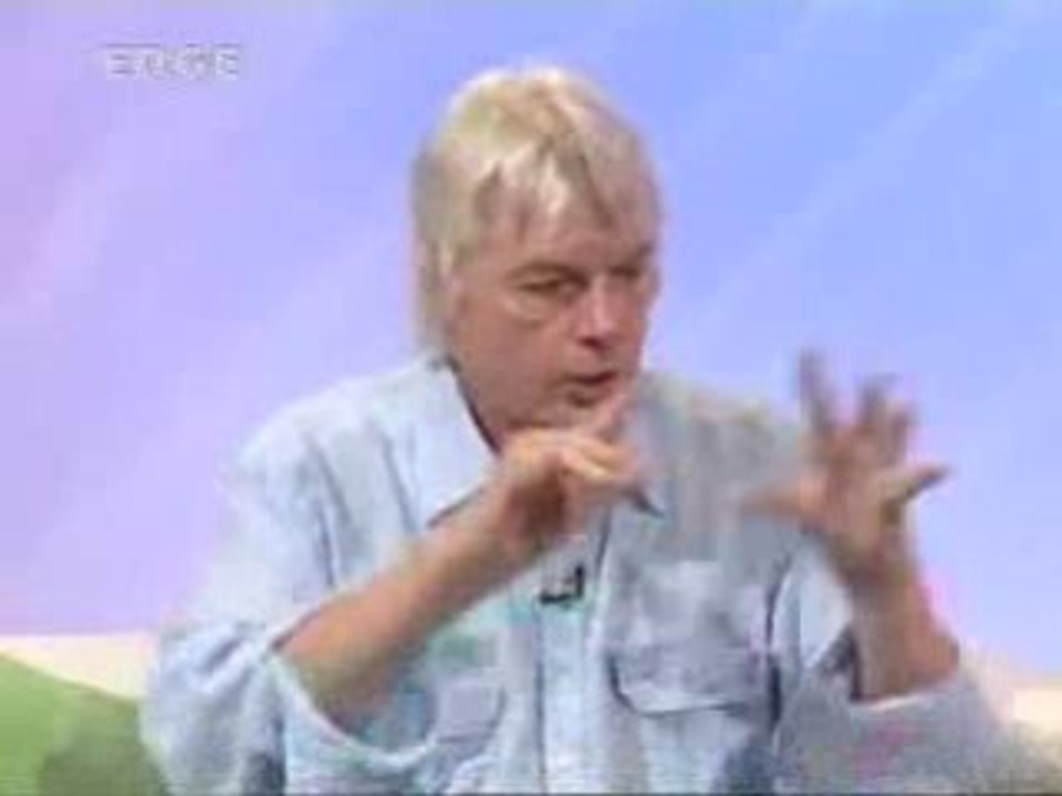 11s11 DAVID ICKE INTERVIEW (vo gb)