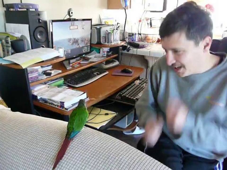 P1010941