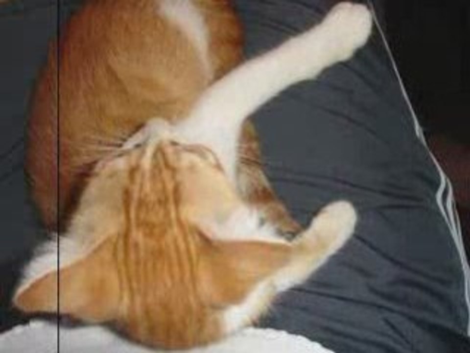 Almirida UCPA Aout 2008