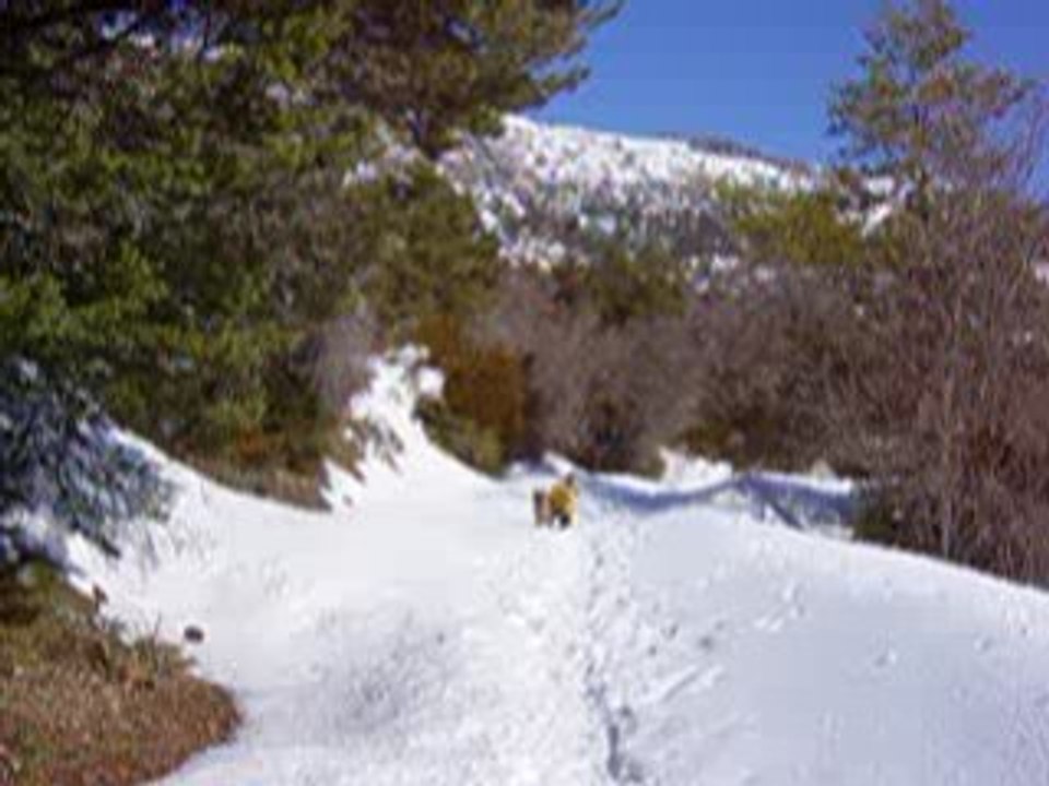 2009.02.08  thorenc 020