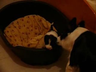 C'est bien confortable chez maman !!! mais dur dur de sortir