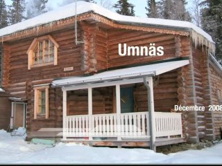 Voyage à Umnäs en laponie avec des husky d'alaska