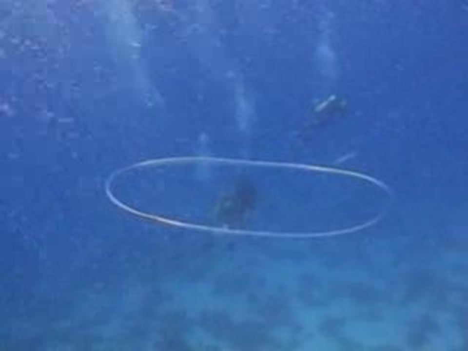 Bubble