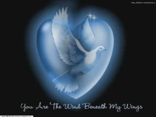 Hani shaker 2008  viny roumy -