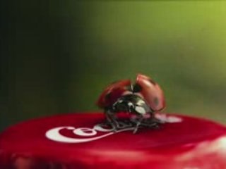 Coca-Cola - Pique-nique