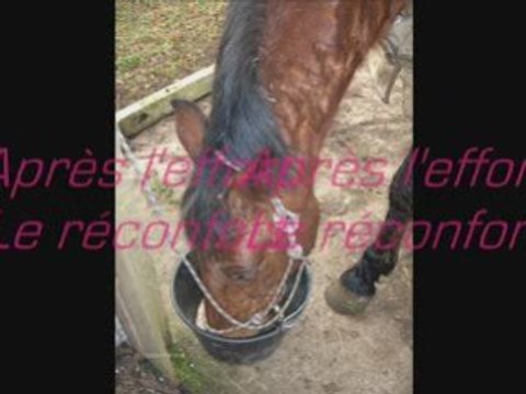 Samedi 31 Janvier Cours de Saut :)