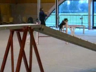 Agility Isbergues umi 2 em degré