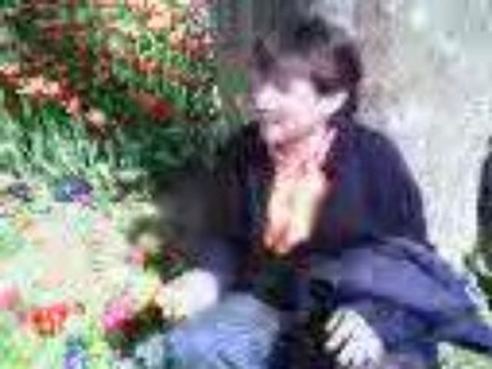 ömer istanbul 2007