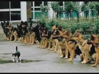 Francis Bacon and the Internet Marketing World