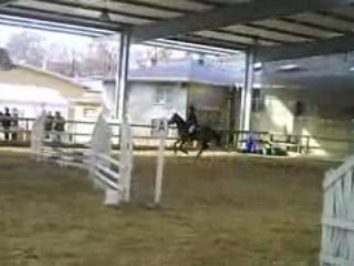 CLIP0009