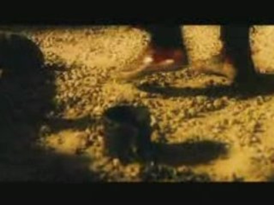 Wolfhound - Le Chemin vers la Liberté