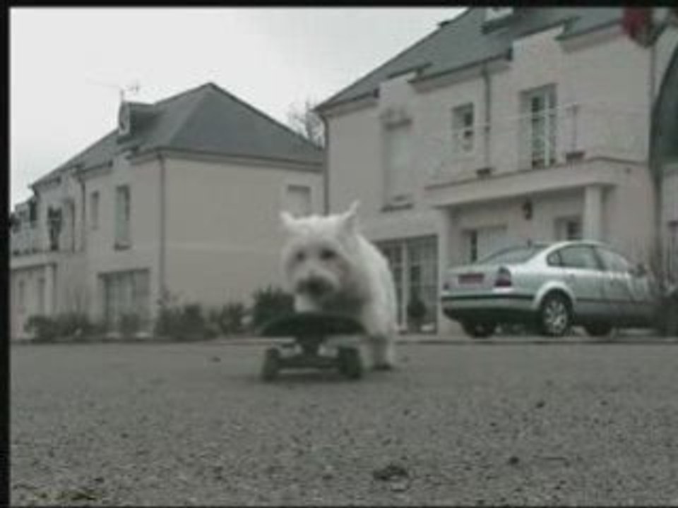 Réglisse