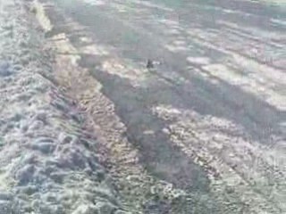 Copterx 450SE backflip with crash