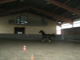 Galopin ###08.02.09
