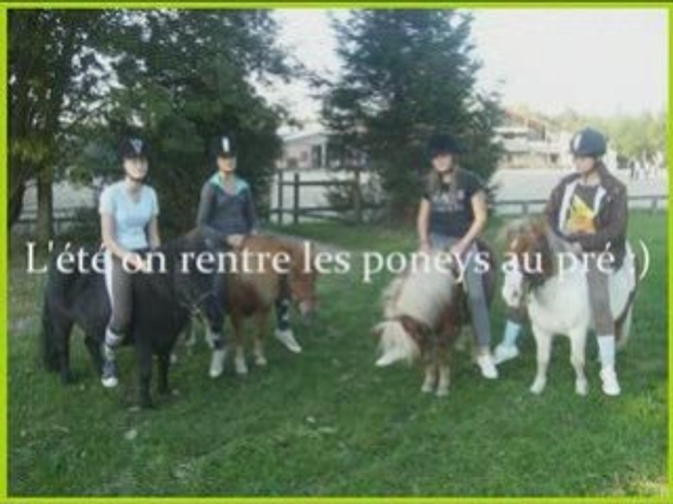 EQUITATION