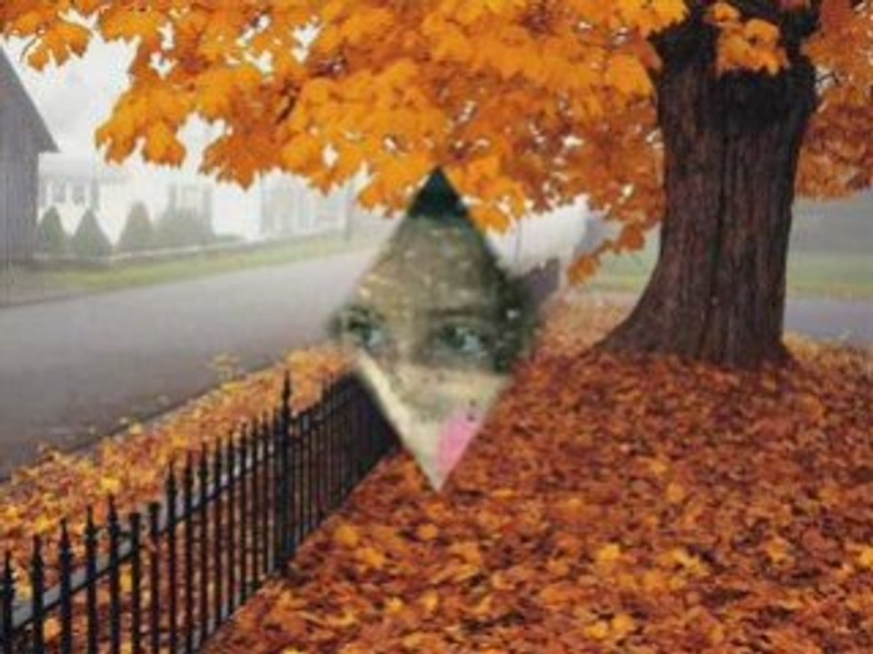 Erkan Ogur yarim senden ayrılalı