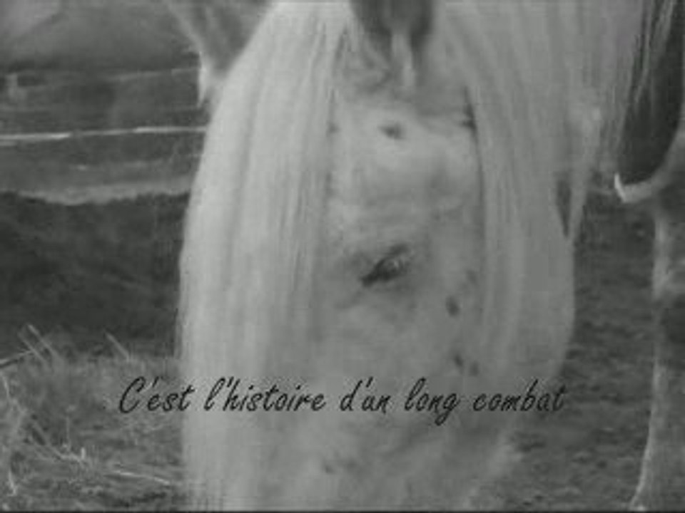 Tilt, notre histoire