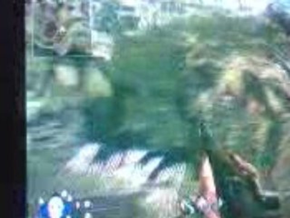 Compilation de bugs de call of duty 5