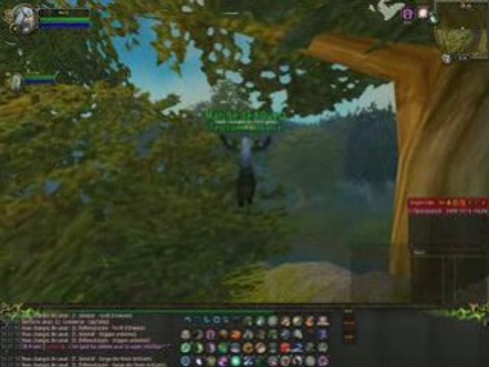 Bug WoW Baie-du-butin