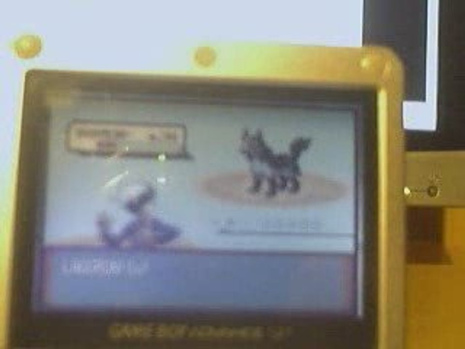 ligue pokémon rubis avec 1 pkmn