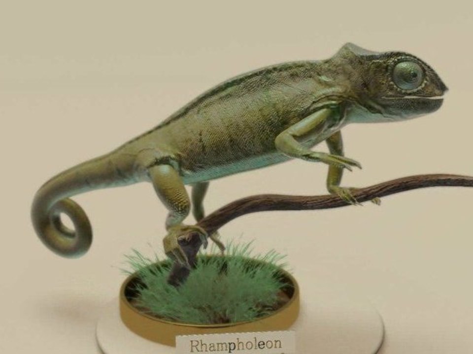 kameleon sous maya