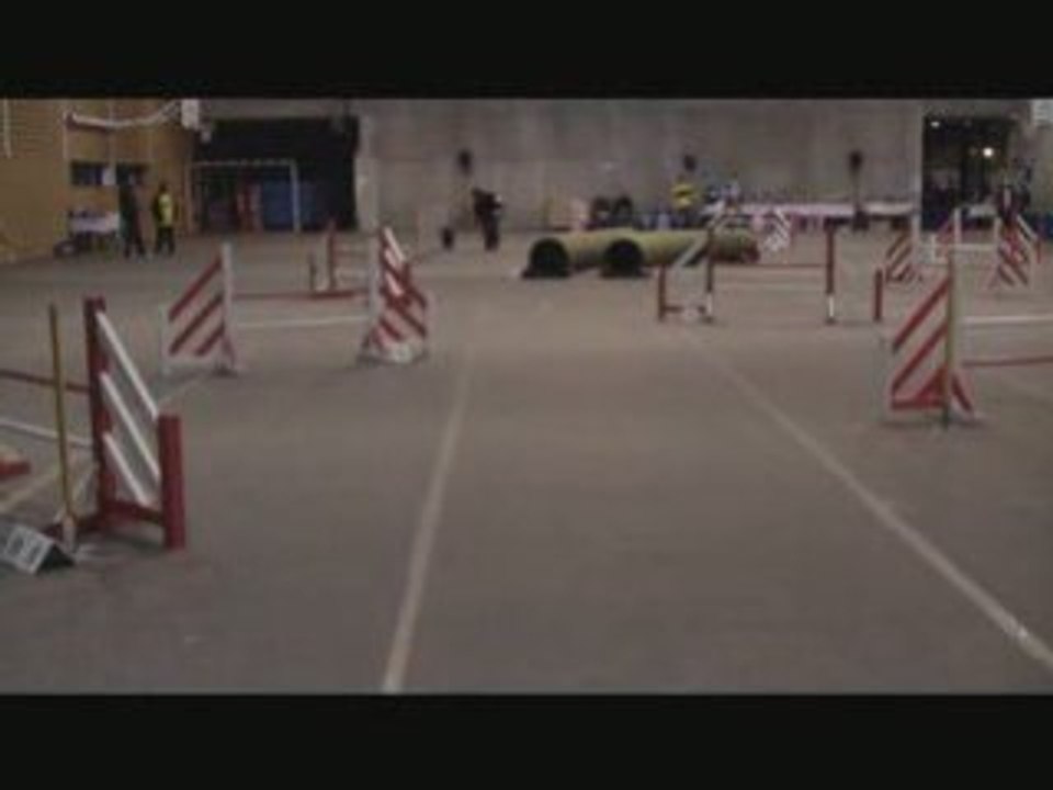 Istres Jumping Fly