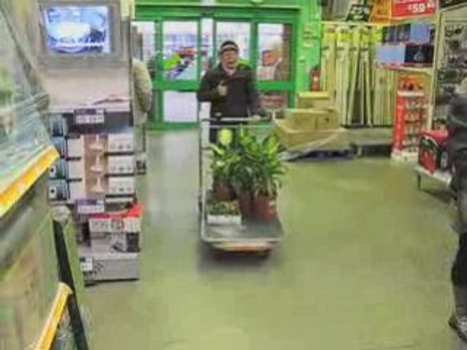 Natural Fuse, finding the plants