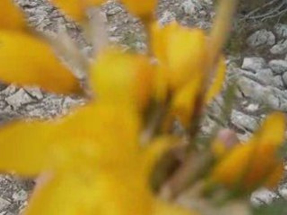 Kuşça köyü slayt