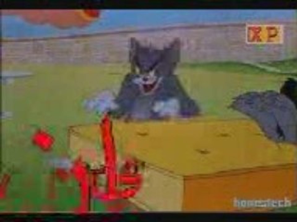 3aouama