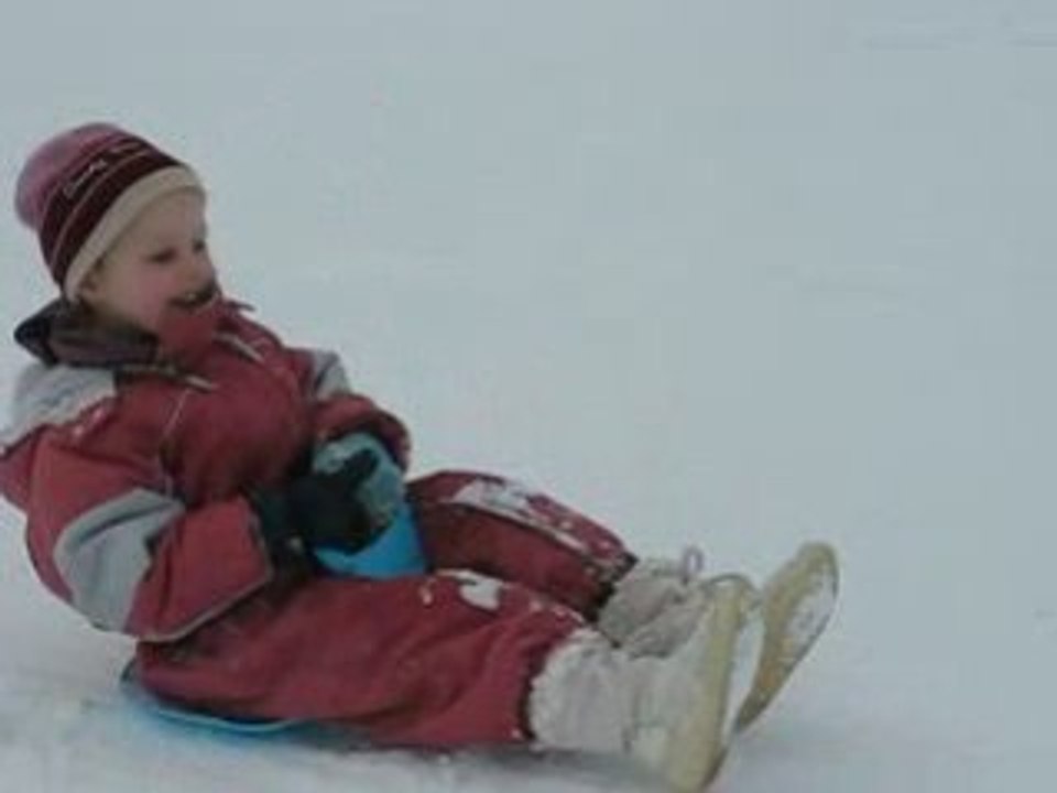 Course de luge