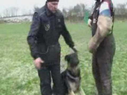 Ines vom Haus Vortkamp's Offsprings du Triangle Magique