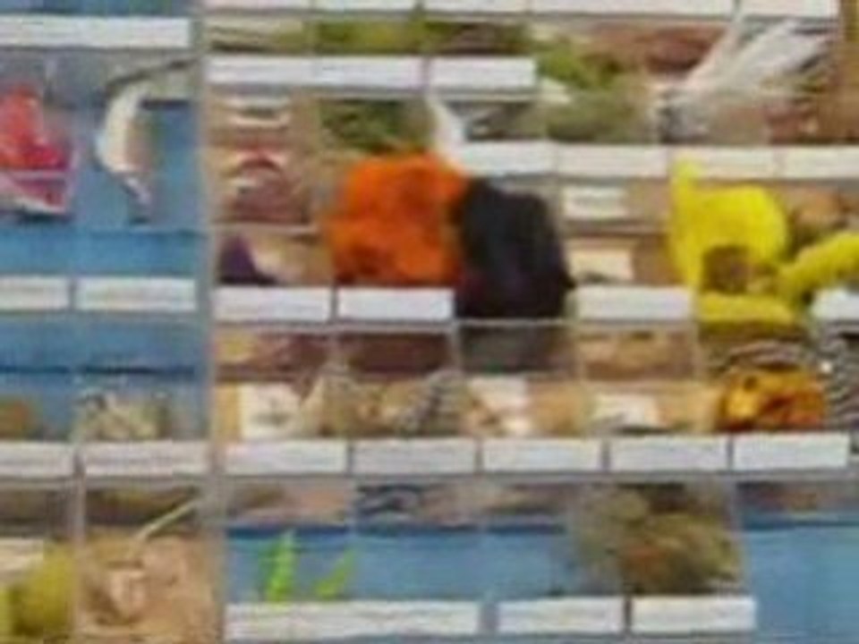 Saltwater Fly Fishing Store in New Orleans Louisiana