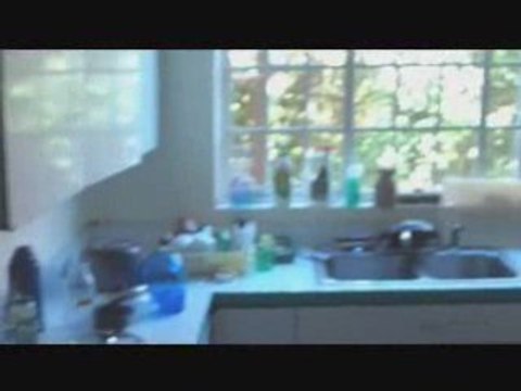 La maison et ses occupants