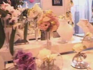 LE SALON DU MARIAGE D'ARRAS INNOVE EN 2009