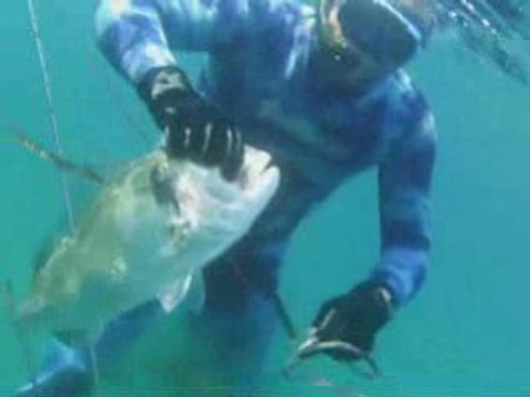 Film chasse sous marine