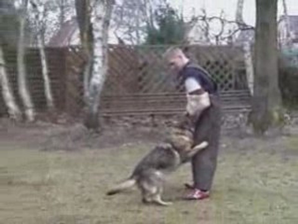 Schutzdienst Agascha