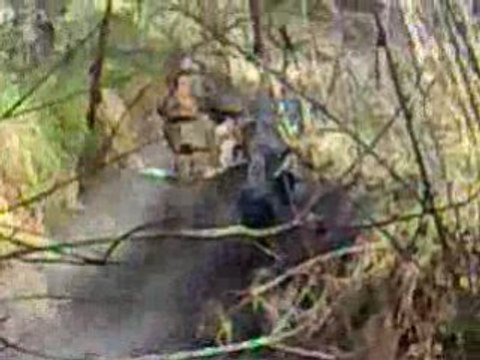 les voleurs de poule