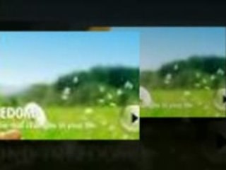 My Three Years With Liberty League International