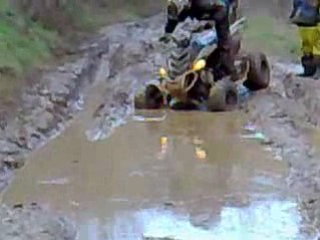 les voleurs de poule