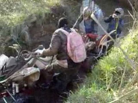 les voleurs de poule