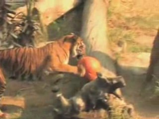 Zoo Pixel Card Los Angeles CA | Pixel Card Los Angeles Zoo