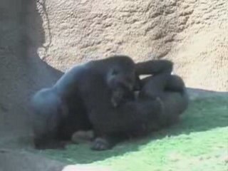 Valentines Day Los Angeles Zoo | Valentines Day Philanthropy