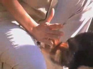 Los Angeles Zoo Valentine | E-Valentine Los Angeles Zoo