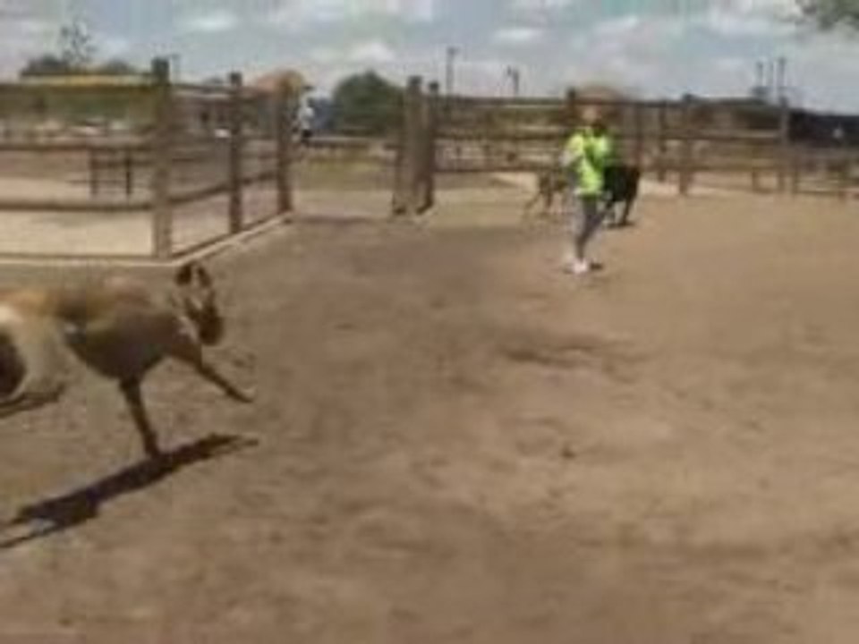 Rado Niko at the Park